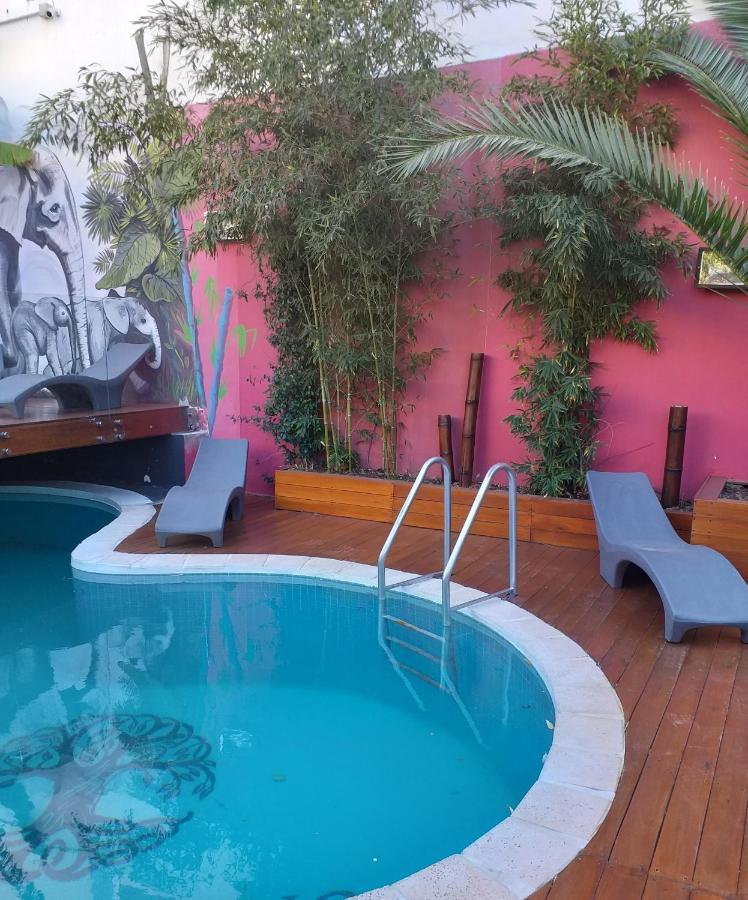 Bucanaan Hostel Boutique Córdoba Ngoại thất bức ảnh